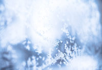frost