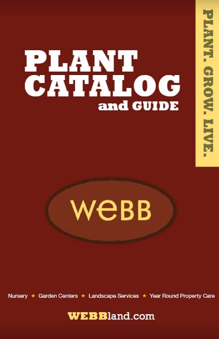 Let us build your dream yard - Webb Landscape, Inc.